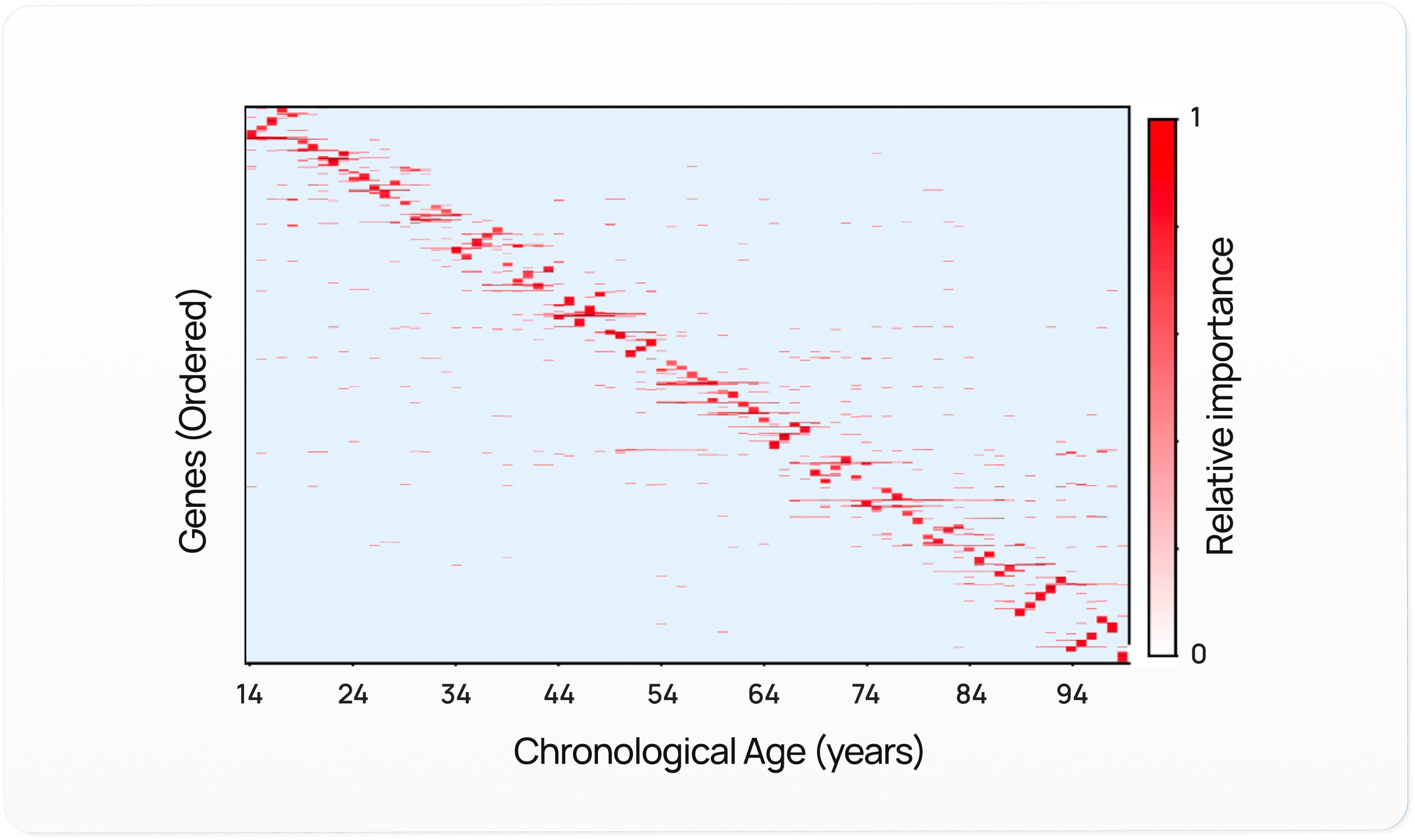 Aging biomarkers chart - Chronological Age vs Genes