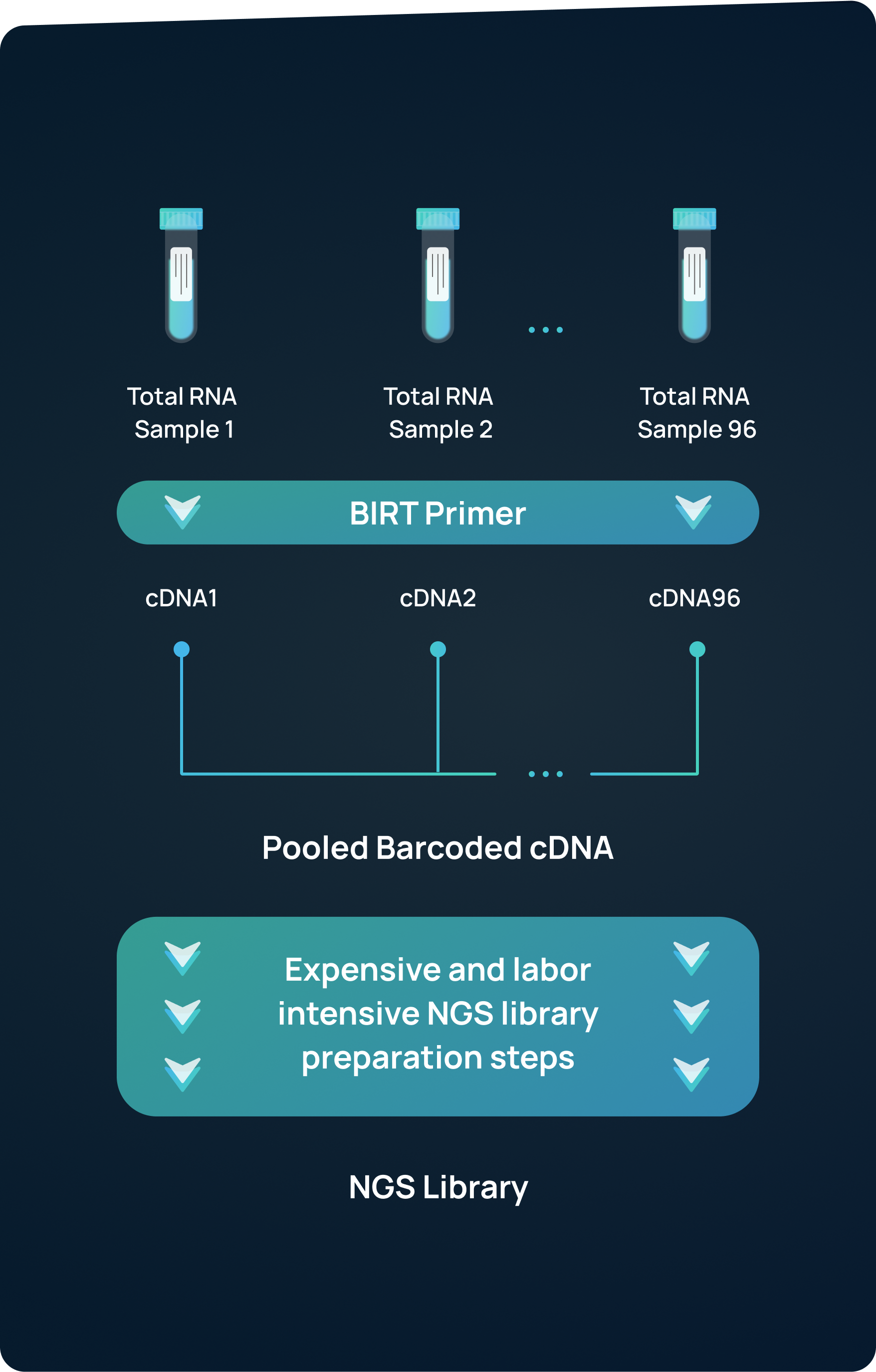 BIRT Workflow Diagram