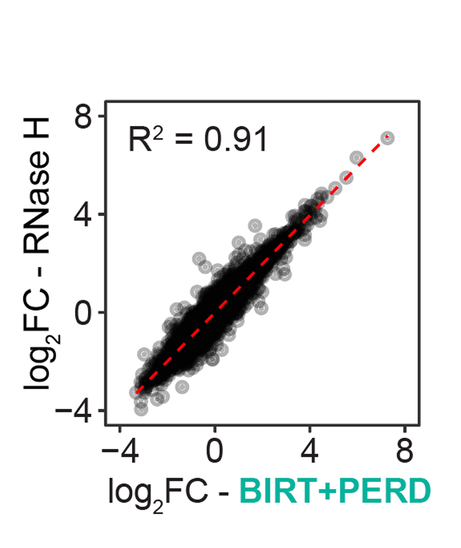 Reproducibility