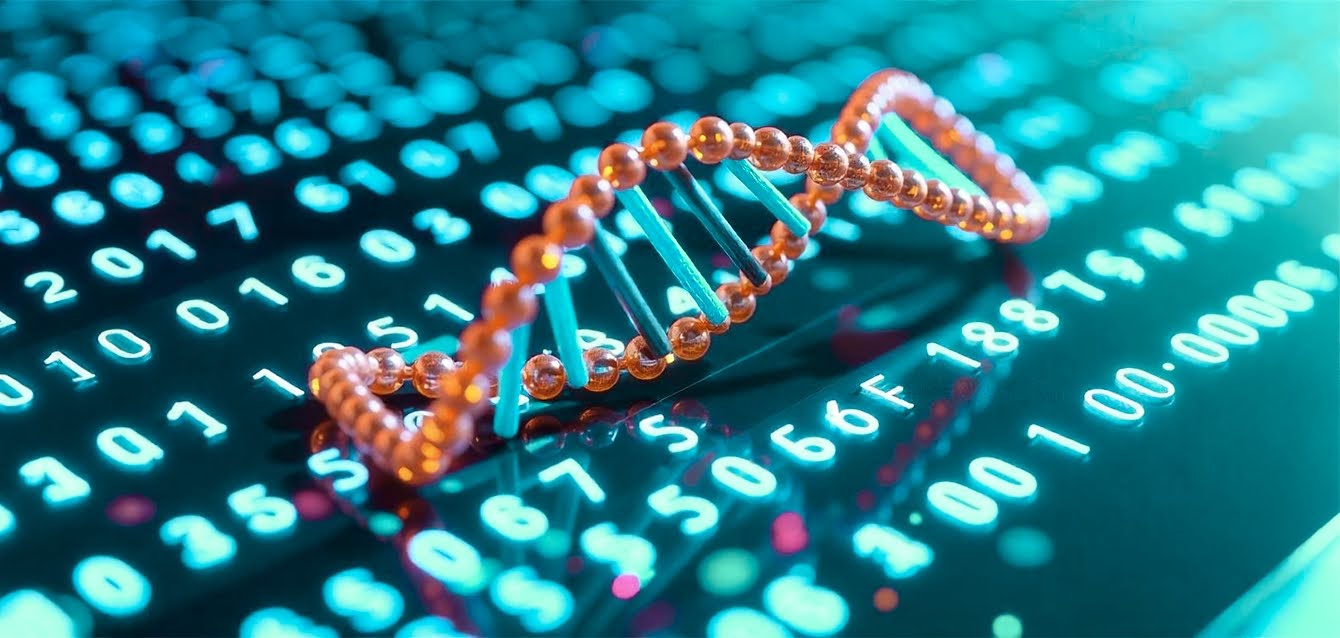 Decoding Messenger RNA Sequence to Protein