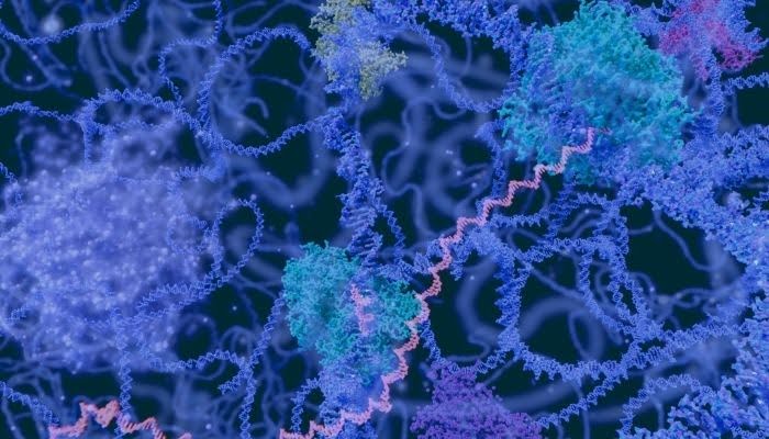 Exploring Methods and Challenges in Whole Transcriptome Analysis with Sequencing