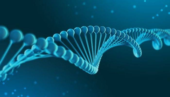 Step-by-Step Guide to RNA-Seq Data Analysis