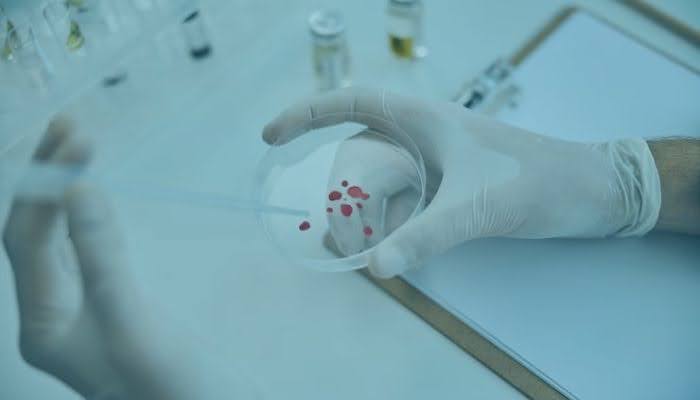 Understanding and Management of BRCA Mutation Testing for Cancer Risk