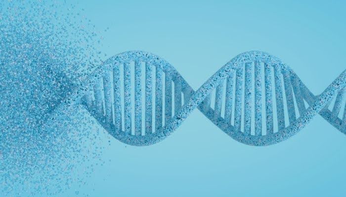 Writing the Complementary RNA Sequence for a DNA Strand