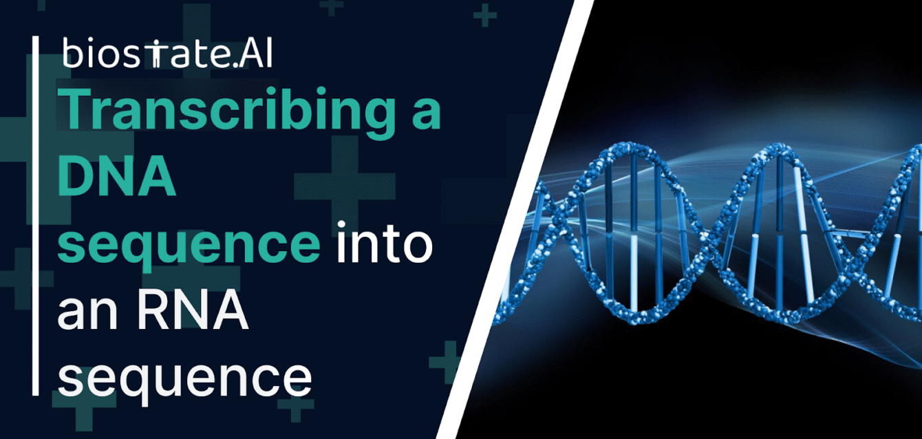 Approaches to DNA Methylation Sequencing Analysis