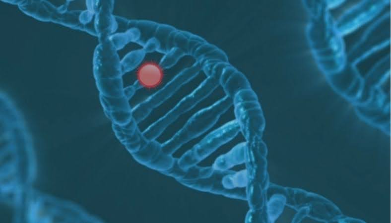 Difference Between NGS and PCR - A Comparative Analysis