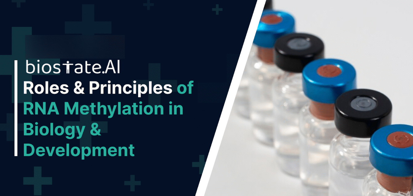 Roles and Principles of RNA Methylation in Biology and Development
