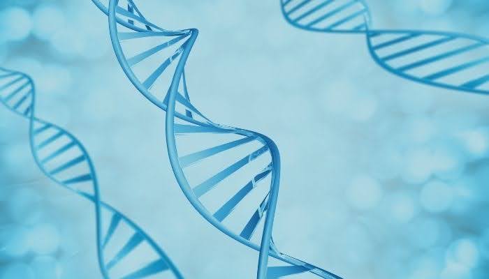 Types of DNA and RNA Sequencing Techniques