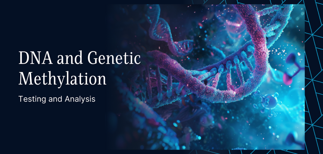 Understanding DNA Methylation Testing and Analysis