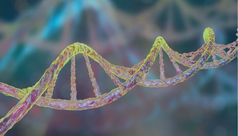 Understanding Deep Sequencing in RNA-Seq Transcriptomics