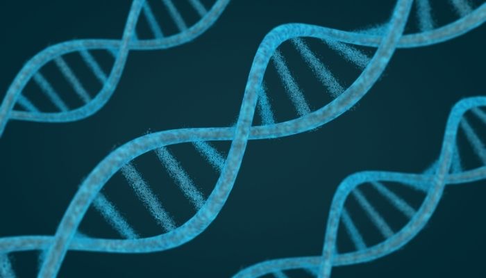 Different Types of DNA and RNA Sequencing Techniques