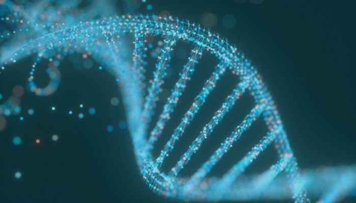 DNA Methylation of miRNA: Crosstalk with MicroRNA Expression in Cells