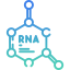 new icon rna