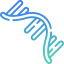 new icon rna2